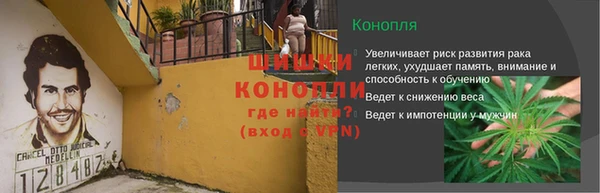 шишки Богданович