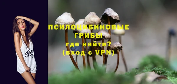 прущие грибы Богородск