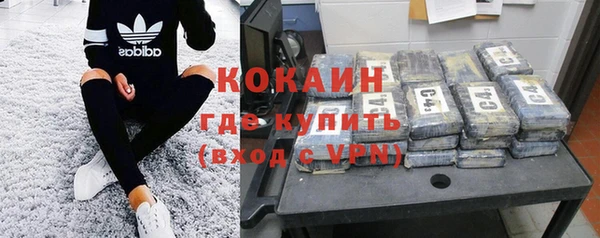 прущие грибы Богородск