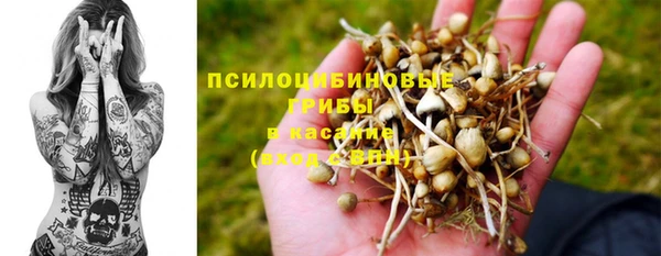шишки Богданович