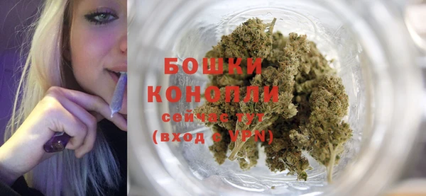 шишки Богданович