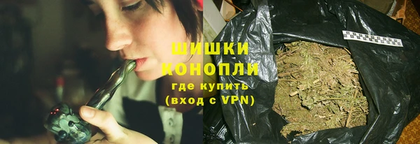 прущие грибы Богородск
