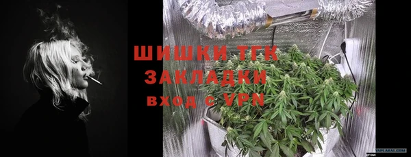 прущие грибы Богородск